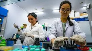 Two female scientists, wearing lab coats and gloves, conduct experiments in a brightly lit laboratory. One is using a pipette, and the other is handling samples in a rack.