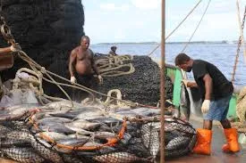 Two men on a fishing boat sorting a large catch of fish from a net. One man in a black shirt and orange boots is on the right, inspecting fish. Another man, shirtless, stands behind a large pile of fish in a net.