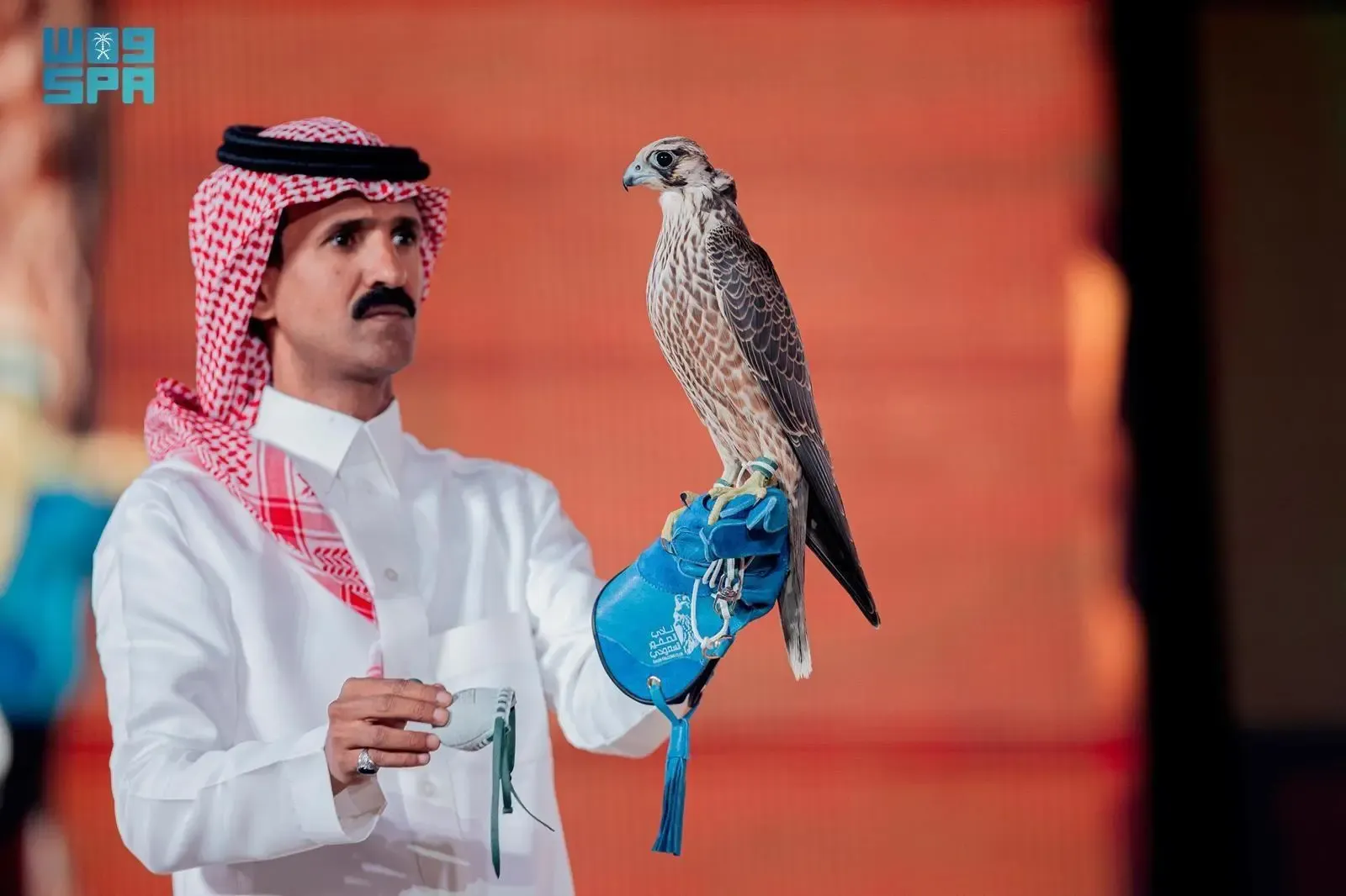 A Saudi man in traditional attire, wearing a white thobe and red and white ghutra, holding a falcon on his gloved left hand. The falcon is brown and white with speckled feathers, perched calmly on the blue falconry glove. The background is a blurred orange or red stage setting.