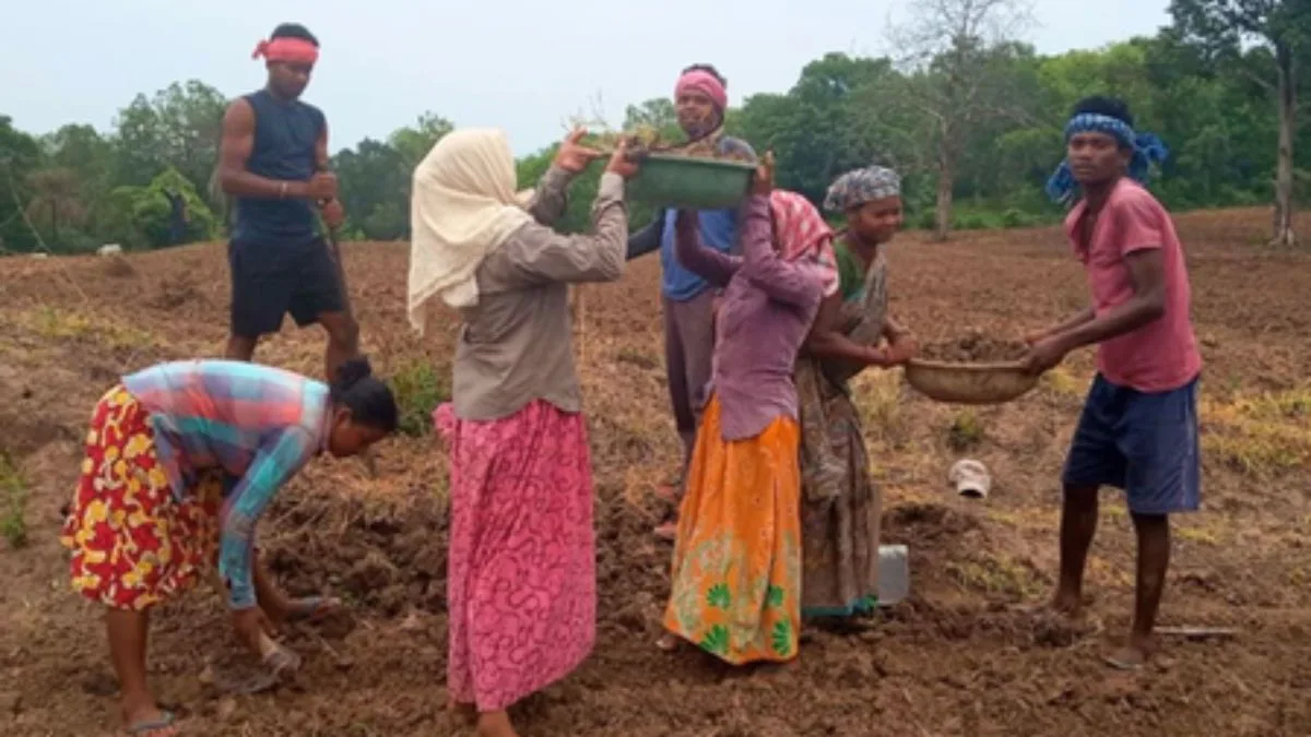 Group of MGNREGA workers digging soil and carrying head pans at a rural worksite involving men and women.