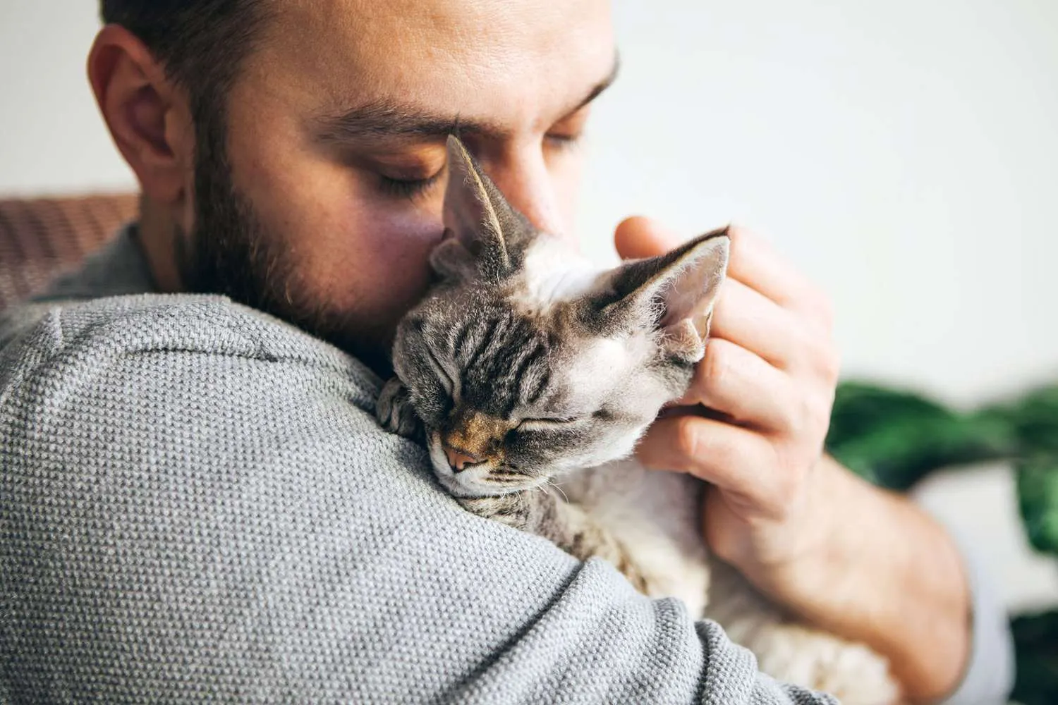 Close-up of a bearded man affectionately hugging a cat with closed eyes, symbolizing the bond between humans and domestic pets.