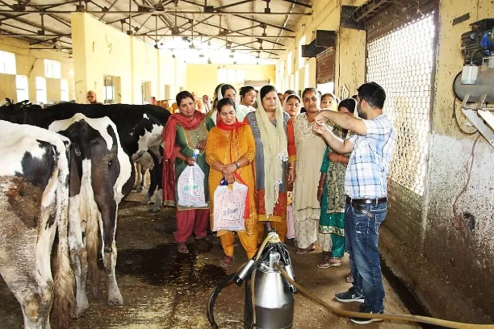 A group of women in colorful traditional Indian attire attentively observe a man demonstrating modern milking machine technology on cows inside a dairy farm shed during a training or awareness program.